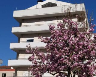 Lousã Varanda’s House