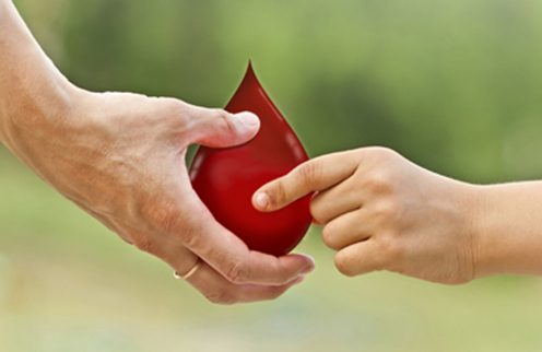 – Colheita de Sangue –