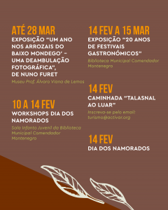 XIII Festival Gastronómico da Chanfana 8