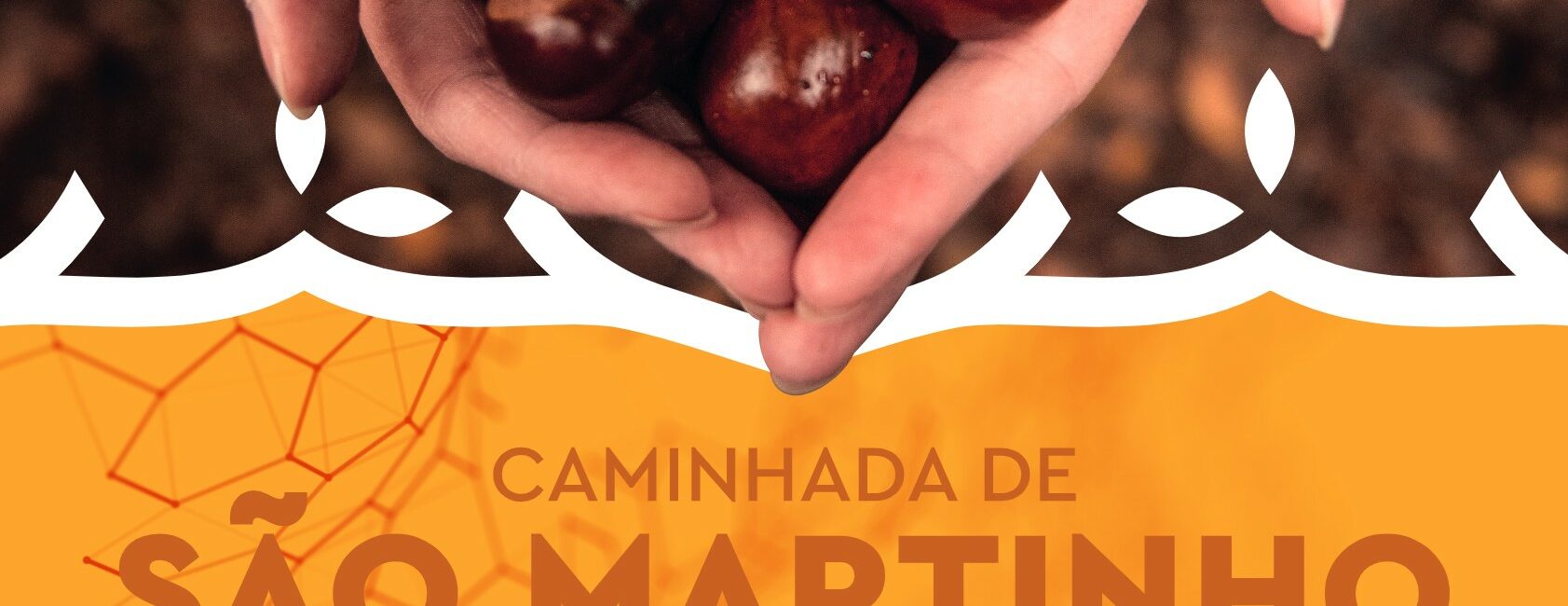 Caminhada de São Martinho na Serra da Lousã celebra Feira do Mel e da Castanha.