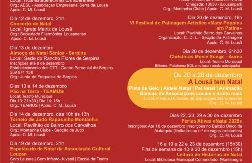 Programa de Animação de natal 2025