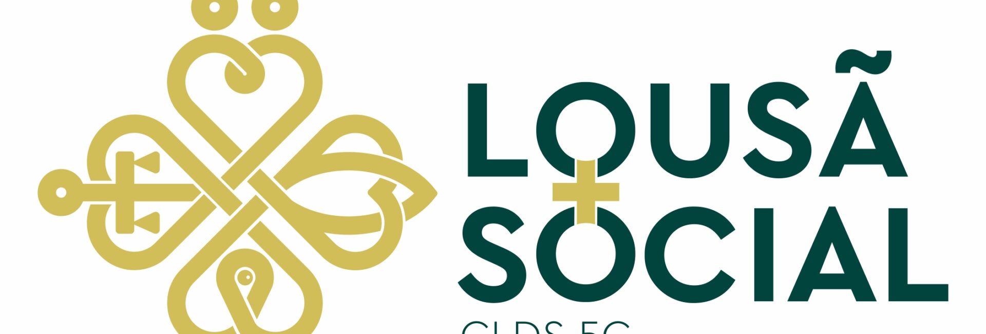 Câmara Municipal da Lousã aprova proposta de Carta Social Municipal