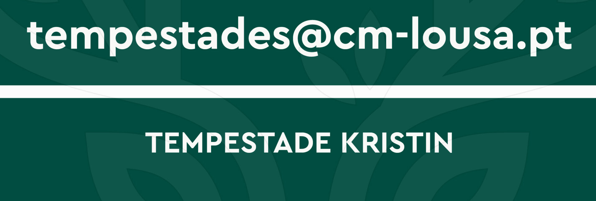 Câmara Municipal da Lousã cria endereço eletrónico para sinalização de danos causados pela Tempestade Kristin