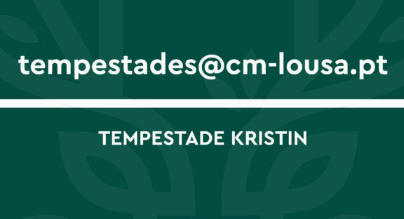 Câmara Municipal da Lousã cria endereço eletrónico para sinalização de danos causados pela Tempestade Kristin