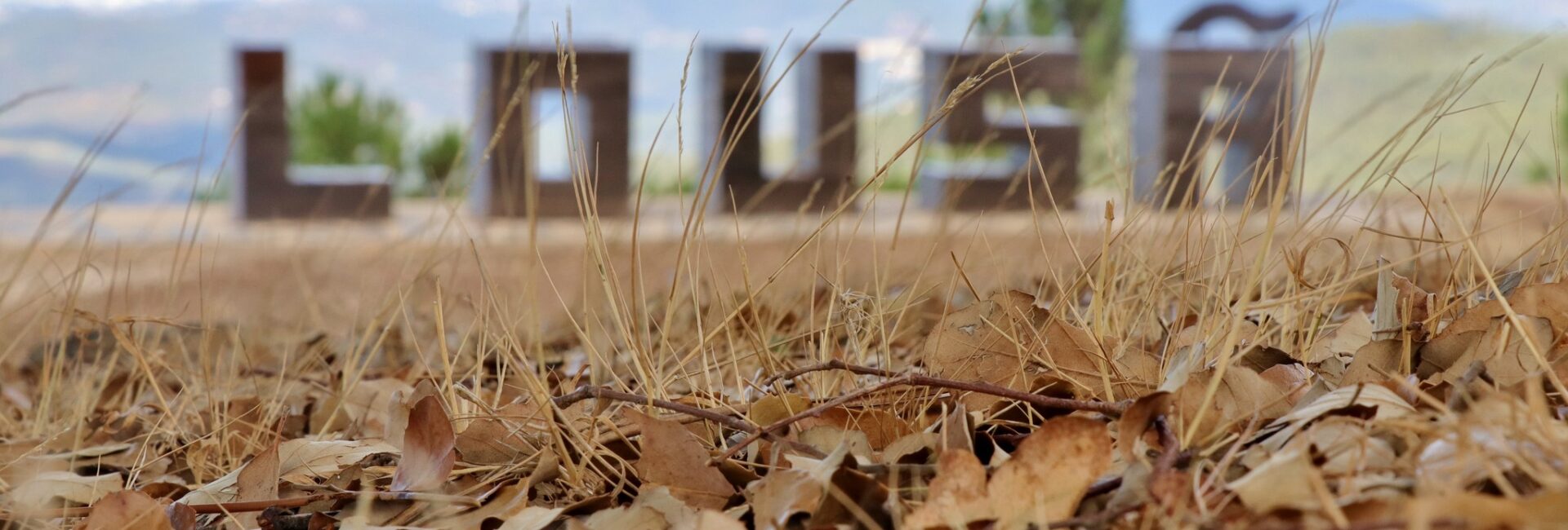 Lousã aprova projeto de Regulamento do Prémio de Sustentabilidade do Município