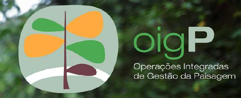 Consulta Pública da Proposta de Operação Integrada de Gestão da Paisagem (OIGP 2.0) da Área Integrada de Gestão da Paisagem (AIGP) da Lousã