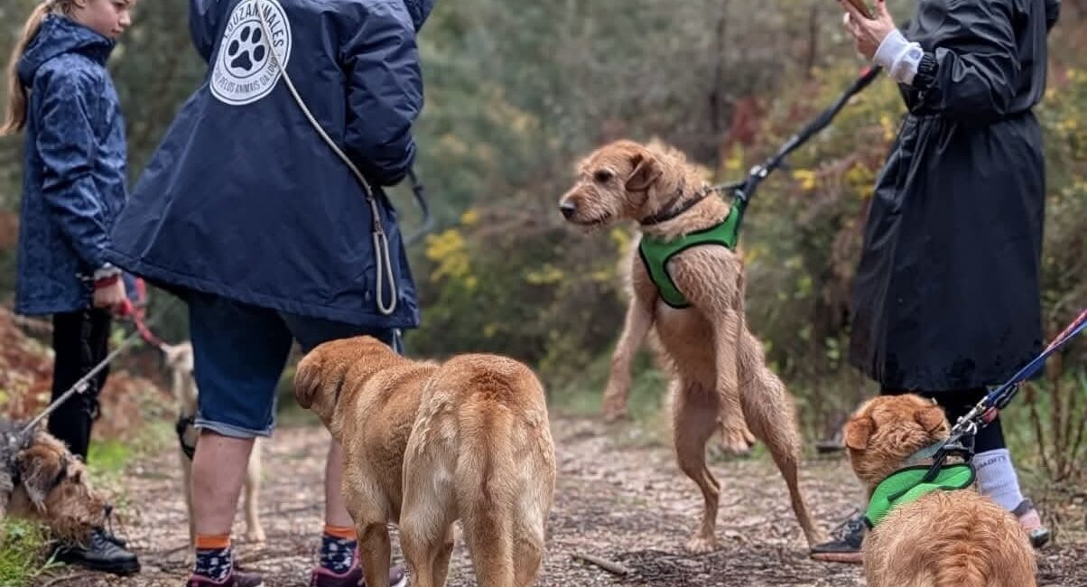 Município da Lousã reforça apoio à Louzanimales com investimento de 2.750€