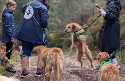 Município da Lousã reforça apoio à Louzanimales com investimento de 2.750€