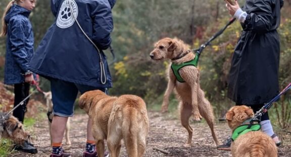 Município da Lousã reforça apoio à Louzanimales com investimento de 2.750€